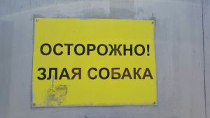 "Opgepast! Valse hond!" Als Russen/Oekraïners zo'n bordje aan hun tuinhek vastmaken weet je dat het menens is.